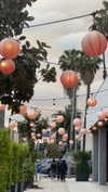 sydney_melman Altpins Profile Picture