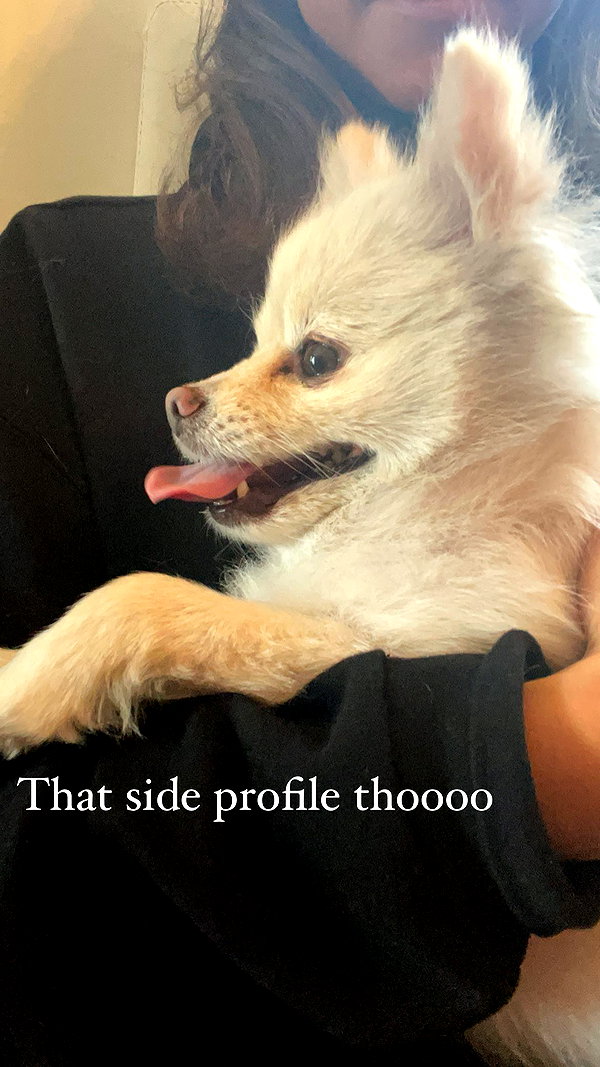 sydney_melman instagram image archive image