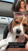 sydney_melman Altpins Profile Picture