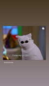 sydney_melman Altpins Profile Picture