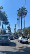 sydney_melman Altpins Profile Picture