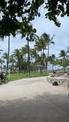 sydney_melman Altpins Profile Picture