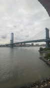 sydney_melman Altpins Profile Picture