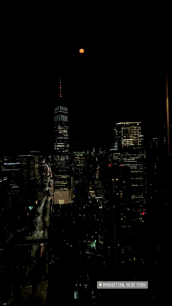 sydney_melman sydney_melman archive image