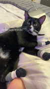 sydney_melman Altpins Profile Picture