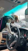 sydney_melman Altpins Profile Picture