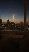 sydney_melman Altpins Profile Picture