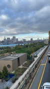 sydney_melman Altpins Profile Picture