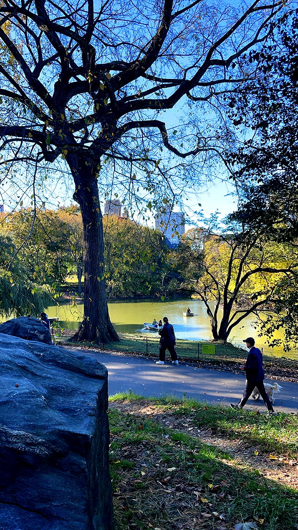 sydney_melman instagram image archive image