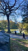 sydney_melman Altpins Profile Picture