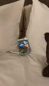 sydney_melman Altpins Profile Picture