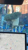 sydney_melman Altpins Profile Picture