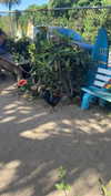 sydney_melman Altpins Profile Picture