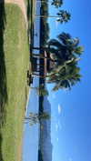 sydney_melman Altpins Profile Picture