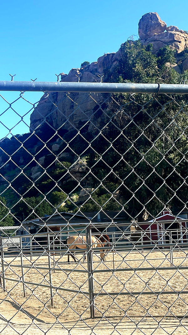 sydney_melman sydney_melman archive image