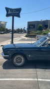 sydney_melman Altpins Profile Picture