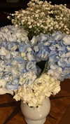 sydney_melman Altpins Profile Picture