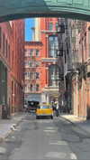 sydney_melman Altpins Profile Picture
