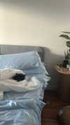 sydney_melman Altpins Profile Picture