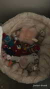 sydney_melman Altpins Profile Picture
