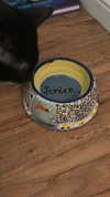 sydney_melman Altpins Profile Picture