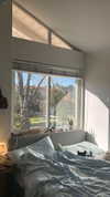 sydney_melman Altpins Profile Picture