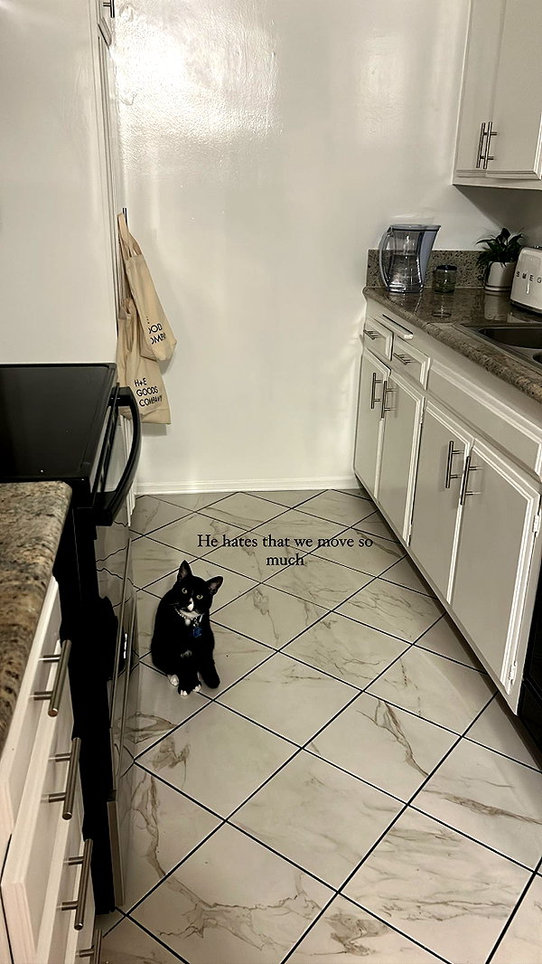 sydney_melman instagram image archive image