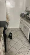 sydney_melman Altpins Profile Picture