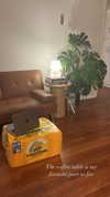 sydney_melman Altpins Profile Picture