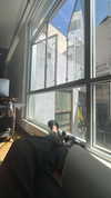 sydney_melman Altpins Profile Picture