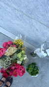 sydney_melman Altpins Profile Picture