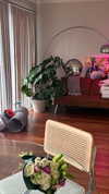 sydney_melman Altpins Profile Picture