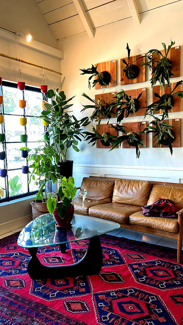 sydney_melman instagram image archive image