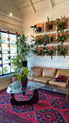 sydney_melman Altpins Profile Picture
