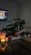 sydney_melman Altpins Profile Picture