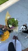 sydney_melman Altpins Profile Picture