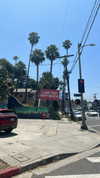 sydney_melman Altpins Profile Picture