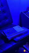 sydney_melman Altpins Profile Picture