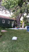 sydney_melman Altpins Profile Picture