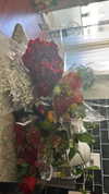 sydney_melman Altpins Profile Picture