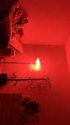 sydney_melman Altpins Profile Picture