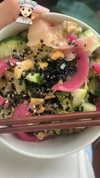 sydney_melman Altpins Profile Picture