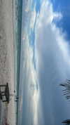 sydney_melman Altpins Profile Picture