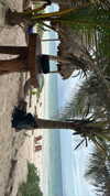sydney_melman Altpins Profile Picture
