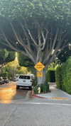 sydney_melman Altpins Profile Picture