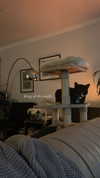 sydney_melman Altpins Profile Picture