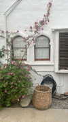 sydney_melman Altpins Profile Picture