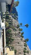 sydney_melman Altpins Profile Picture