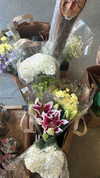 sydney_melman Altpins Profile Picture
