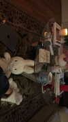 sydney_melman Altpins Profile Picture